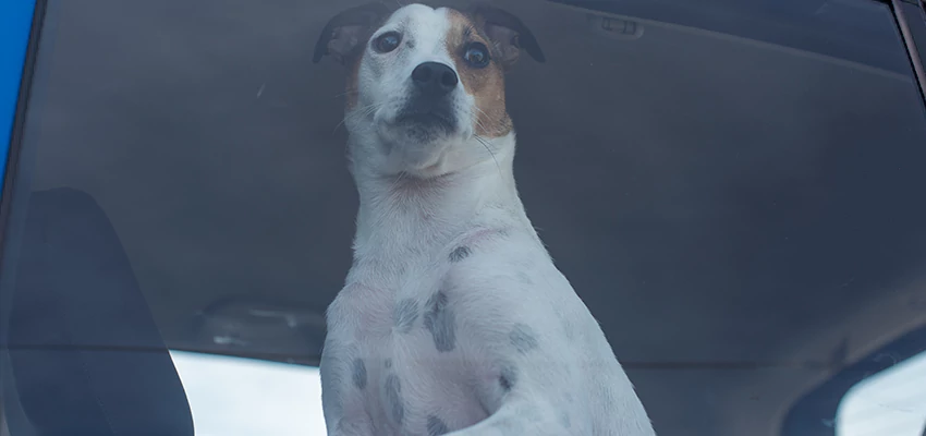 Car Lockout Solutions in Hollister, California